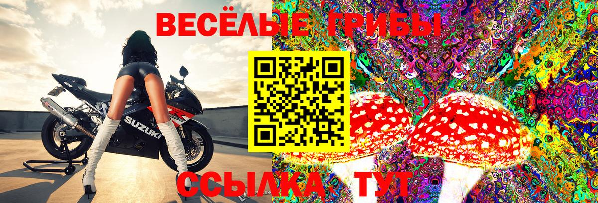 Моздок  Галлюциногенные грибы Cubensis  Вход с VPN  Псилоцибиновые грибы GOLDEN TEACHER 